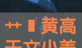 艹比视频,揭秘网络热梗背后的文化现象